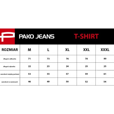 T-SHIRT Męski Koszulka Gruba Bawełna BIAŁA w Paski SLICE - Pakojeans.pl