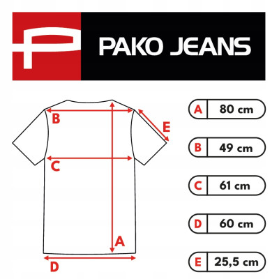 T-SHIRT Męski Koszulka BASIC Bawełniana ZIELONY Normal Fit Pako Jeans