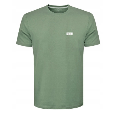 T-SHIRT Męski Koszulka BASIC Bawełniana ZIELONY Normal Fit Pako Jeans