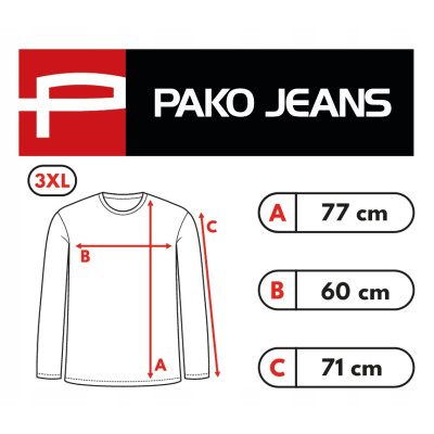 LONGSLEEVE męski koszulka z długim rękawem bawełniana MATRIX beżowa Pako Jeans