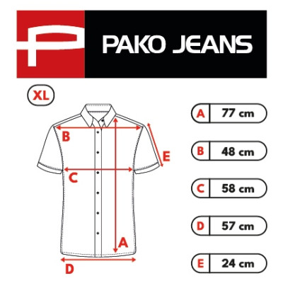 KOSZULA Męska w PASKI z Krótkim Rękawem LNIANA Regular Fit Pako Jeans
