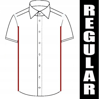 KOSZULA Męska z Krótkim Rękawem LOREN Błękitna LNIANA Regular Fit Pako Jeans - Pakojeans.pl